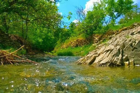 زیرساختهای گردشگری فارس توسعه یابد زیرساختهای گردشگری فارس توسعه یابد