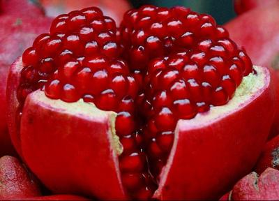 آغاز برداشت انار در ساوه