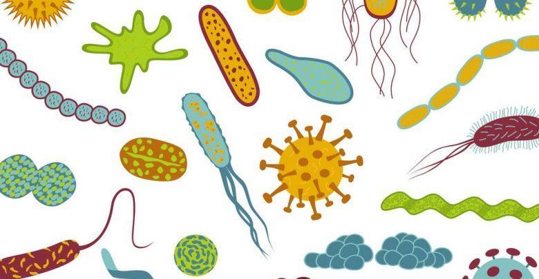 میکروب های هم زیست چطور شرایط بدن مان را بازسازی می نمایند؟
