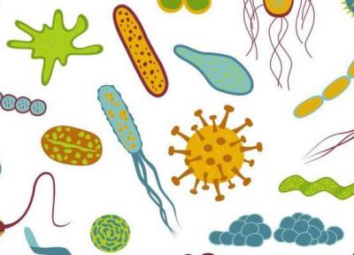 میکروب های هم زیست چطور شرایط بدن مان را بازسازی می نمایند؟