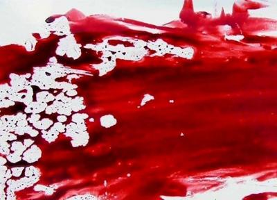 قتل یک زن 55 ساله در شهرستان کبودرآهنگ