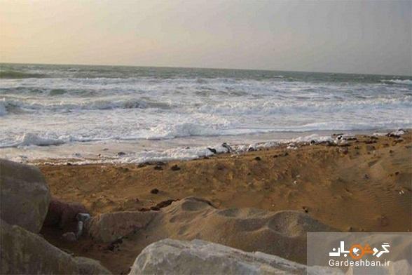 جزیره تهمادون؛ یکی از جزایر غیر مسکونی در خلیج فارس جزیره تهمادون؛ یکی از جزایر غیر مسکونی در خلیج فارس