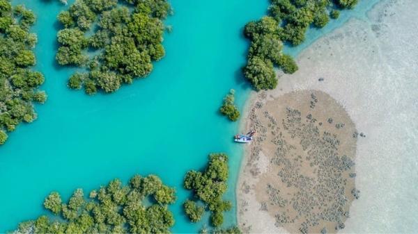 جنگل حرا: تجربه قایق سواری در طبیعت جادویی قشم