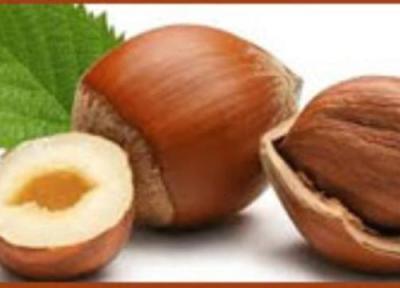 کاربردهای فراوان روغن فندق چند منظوره