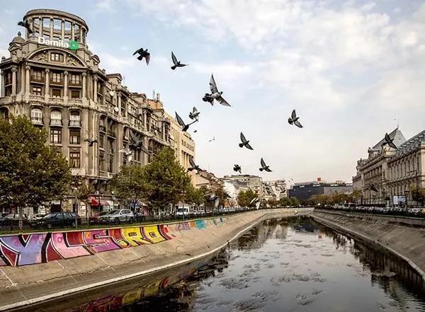 آشنایی با جاذبه های گردشگری شهر بخارست رومانی آشنایی با جاذبه های گردشگری شهر بخارست رومانی
